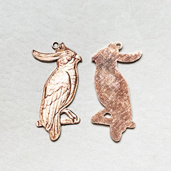 画像1: 39x17 Cockatoo pendant charm (1)