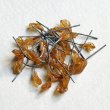 画像3: 9x5 Amber frill leaf pin (3)