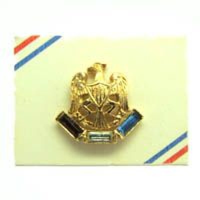 画像3: Military Eagle pin