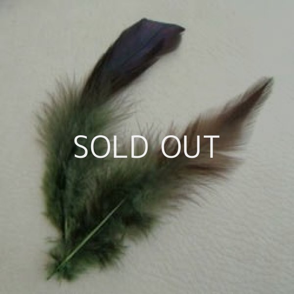 画像1: dyed sage green feather (1)