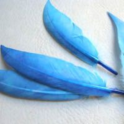 画像1: dyed blue feather