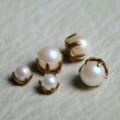 画像2: 4pcs 6mm pearl setting (2)